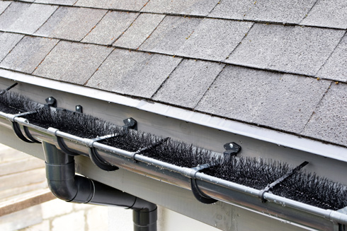 roof with gutter system featuring brushes for debris prevention and maintenance