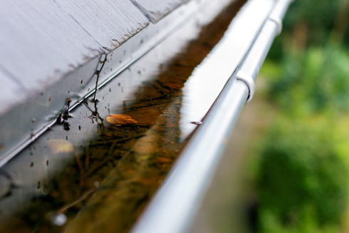 gutter filled with water and leaves showcasing routine maintenance needs and potential issues for homes 2 leaves 2 maintenance