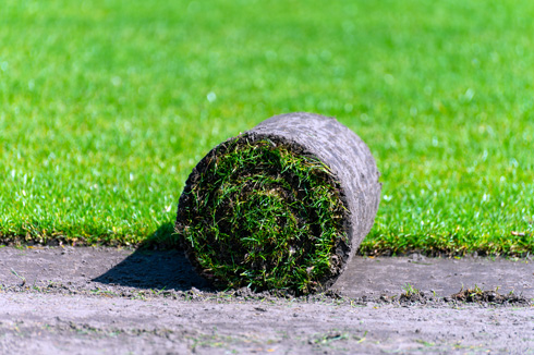rolled sod on grassy area for lawn installation